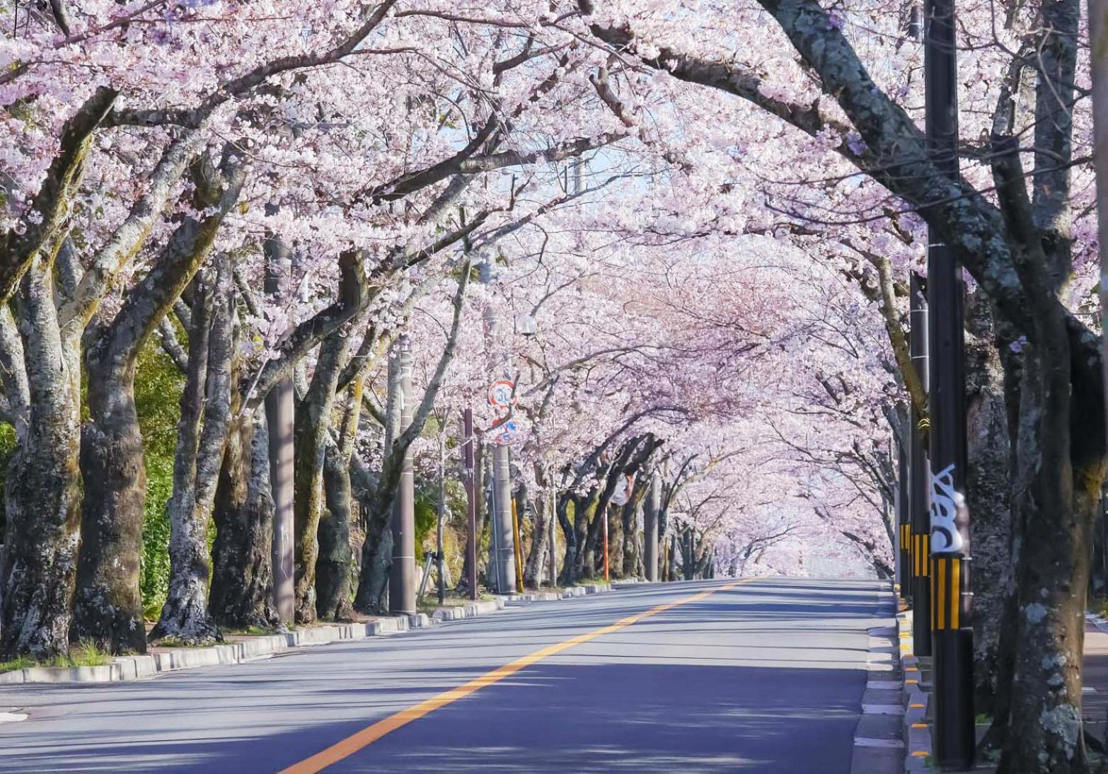 IZU KOGEN Terrace - KANDO Ito  Exterior foto