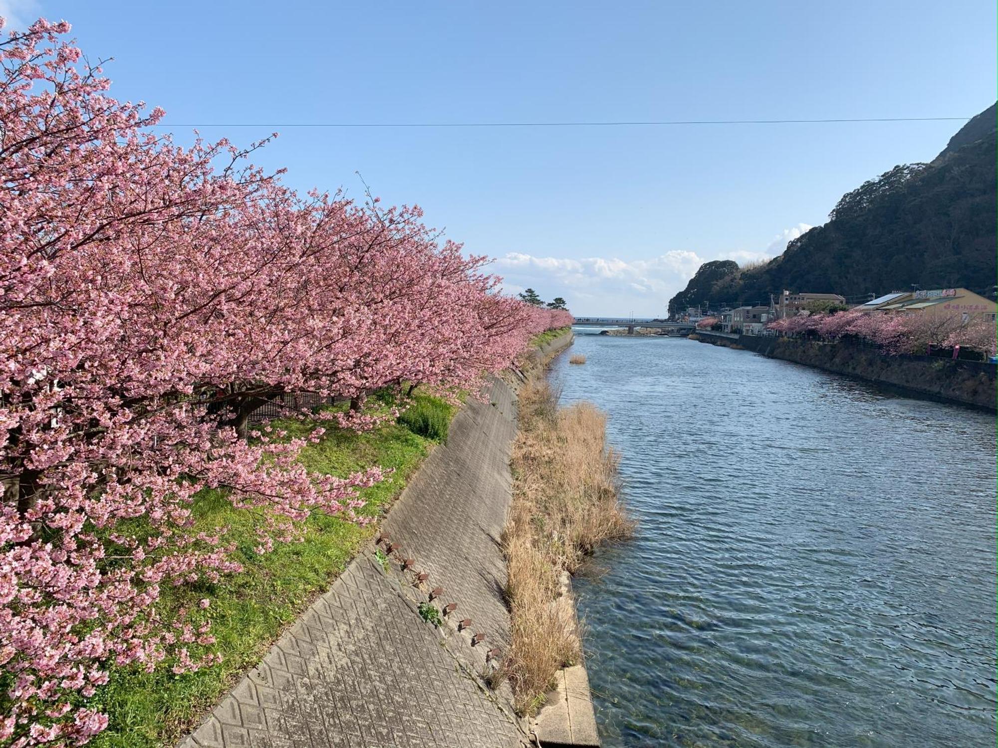 IZU KOGEN Terrace - KANDO Ito  Exterior foto